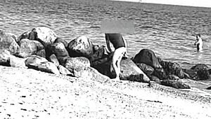 i spotted a huge cock on the nude beach