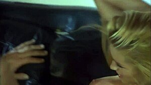 Jessica Drake In Lingerie Calls Her Man For Outdoor Fuck With Blowjob And Anal