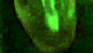 I Love Fucking My Self with Dildo and Toys!