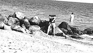 i spotted a huge cock on the nude beach