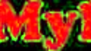 Rachael Cavalli Sucks Johnny Palms While Whitney Oc Watches