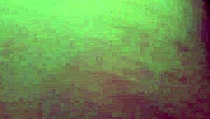 Wet Pussy And Ass Of Neighbor's Prostitute