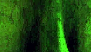 Ass Worship Hallelujah Johnson Think About That Ass And Subscribe To My Channel