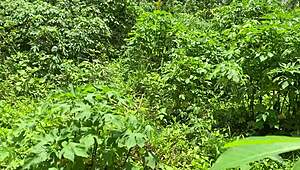 soco soco a mao no cu da loirinha sex toy