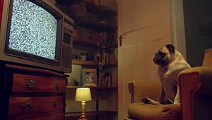 benefit monkey katrina moreno gets fucked hard and ends up with her big tits covered in cum