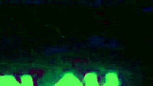 They Perform Both Ways In An Acoustic Slowed Version.