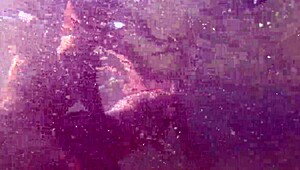 UNDER WATER SEX WITH HOT MILF in sauna deepthroat blowjob on big pussy lips