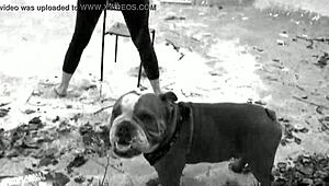 Pornstar Savana Twerks And Strips! Getting So Horny!