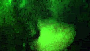 new video discounted video with wet pussy blowjob