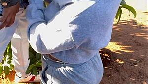 Handjob Compilation With Monster Cock And Blowjob