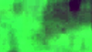 my pussy is so wet and ready for action