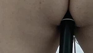 em g�i b�nh dương �p cọc v�o �t ver 2