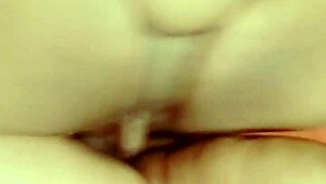 sundaydogood614 update 530 vid 20241012 133831 oct 12 2024