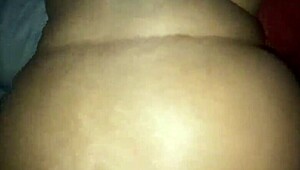 Finally met intriguing neighbors next door