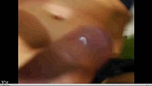 shemale webcam performer in crossdressing attire enjoys solo session