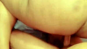 Sundaydogood614 Update 644 Vid 20241129 190420 Nov 29 2024