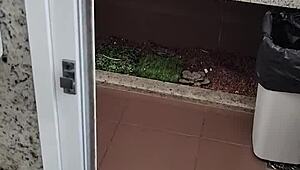 masturbating in public bathroom!