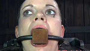 Mouth-gagged slut takes machine fuck 😈