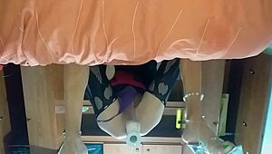 The latina shemale thrusts her new toy into her tight ass