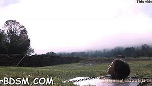 Free Sadomasochism Sex Stories With Rough Bondage Spanking