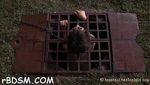 Free Sadomasochism Sex Stories With Rough Bondage Spanking