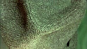 Bitch Marie, slave to Quartus, sucks three cocks eagerly