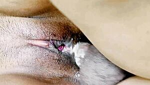 Girl, give me that blowjob in pov? Amateur couple goes anal crazy!