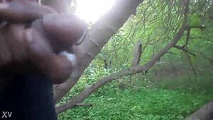 outdoor masturbation session ends with a cum shot in the trees