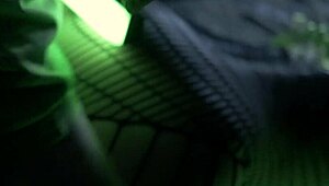 Catwomans Depraved Night Adventure