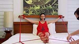 sofi bound in red ropes on the bed