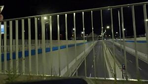 I flash my dick and ass in public as trans shemale olivia