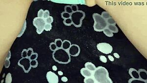 i had an excellent anal fuck, hot blowjob, and cute pussy fuck.