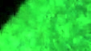 D Step Mom Seduces With Her Tits And Pussy