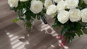 the free sfw version of my first ever pornlog