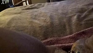 Reflecting on a Satisfying Encounter with Pierced Intimacy