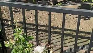 the free sfw version of my first ever pornlog