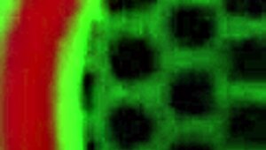 Rome Major Says, 'Jenna Justine, You're Insatiable, Let Me Make You Moan Loud'