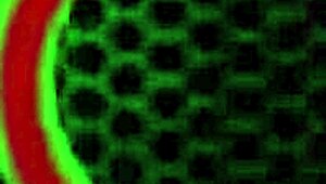 nikki benz loves big tit blondes with fingering and scissoring