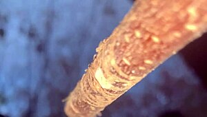 a man encounters a real witch and has passionate sex in the forest