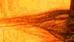 fucked my 24-year-old friend hard