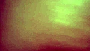 Amateur homemade ebony sucking and fucking