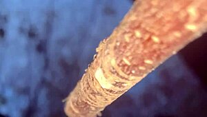 a man encounters a real witch and has passionate sex in the forest