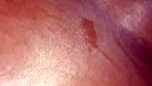 fat dick willy bends over for doggystyle pounding