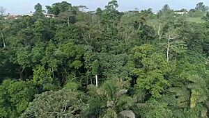 Suck my big dick, you slut, right now