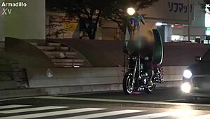 Find the Full Version at This Link