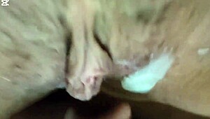 Meu Marido Corno Me Deu De Presente De Natal Um Garoto De Programa Para Me Fude E No Final O Corno Do Meu Marido Comeu Tudo A Porra Do Prostituto