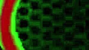 Miz Luvli Gets Jizzed On Her Massive Ass By Rome Major!