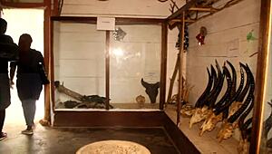 Huge cock fills mouth and ass in tourist park fuck for spectators