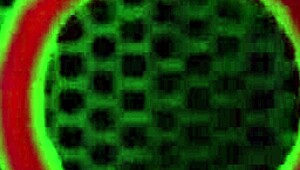 just before sunday service rome major fucks brandi foxx hard