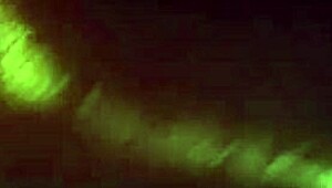 the oiled ass is the star in this wet amateur intimate moment